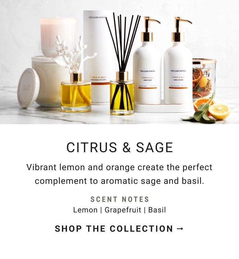 CITRUS & SAGE | Vibrant lemon and orange create the perfect complement to aromatic sage and basil. | SHOP THE COLLECTION